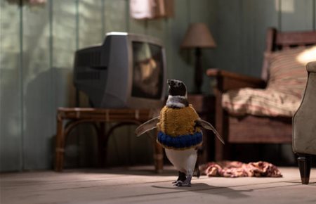 Pierwsze zagraniczne recenzje filmu “Mój przyjaciel pingwin”